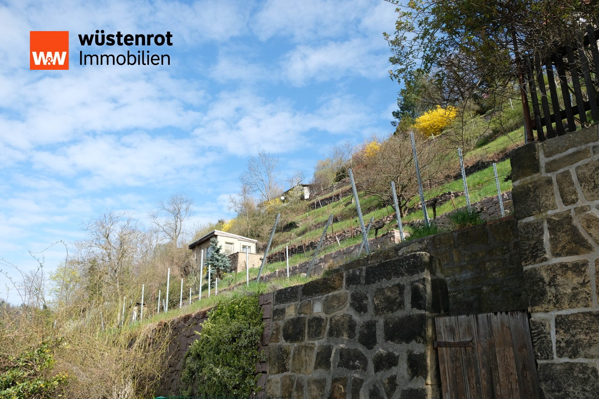 Immobilienangebot - Meißen - Alle - Traumhaftes Hanggrundstück in Meißen – Historischer Weinberg mit Potenzial