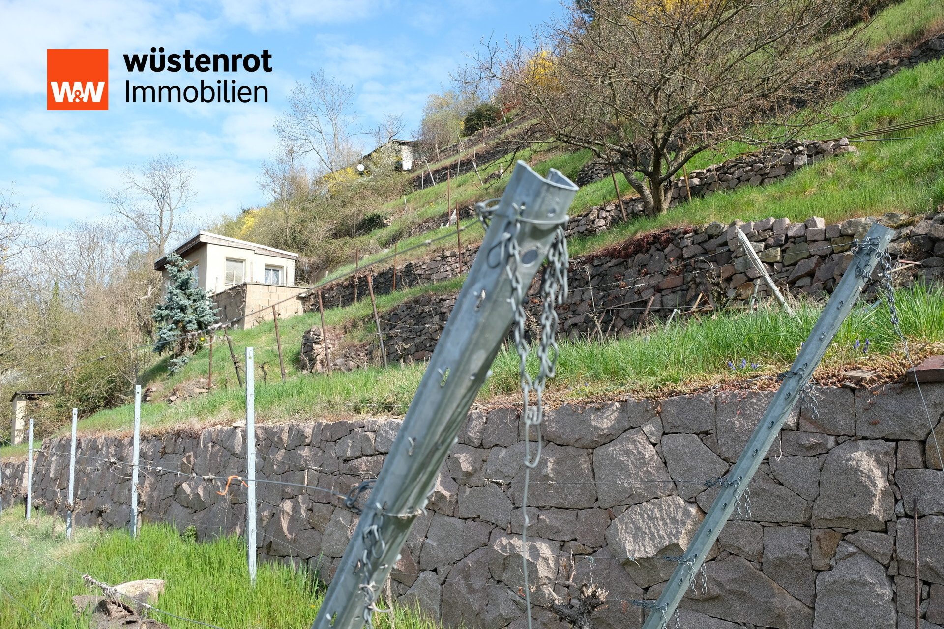 Immobilienangebot - Meißen - Alle - Traumhaftes Hanggrundstück in Meißen – Historischer Weinberg mit Potenzial