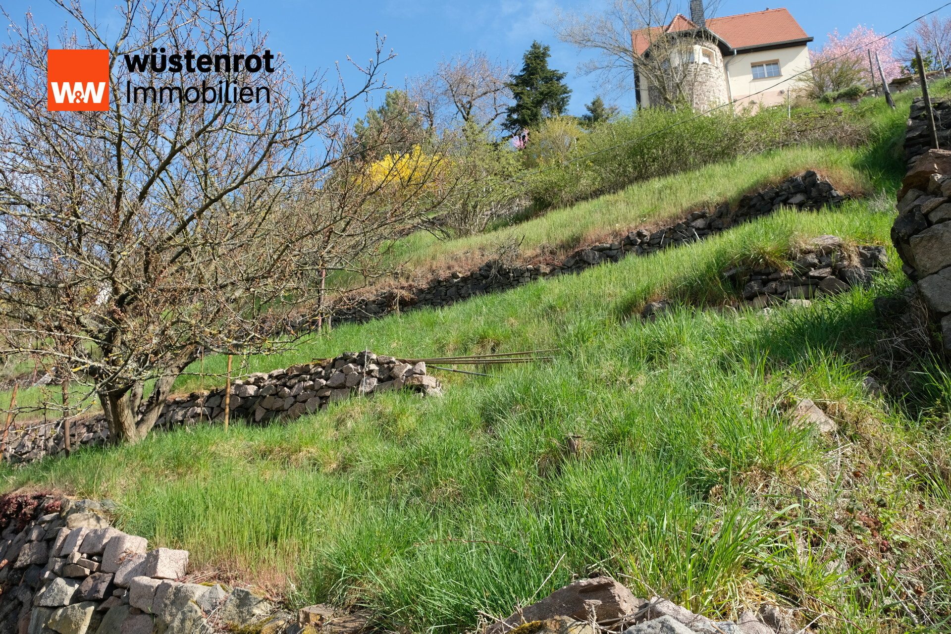 Immobilienangebot - Meißen - Alle - Traumhaftes Hanggrundstück in Meißen – Historischer Weinberg mit Potenzial