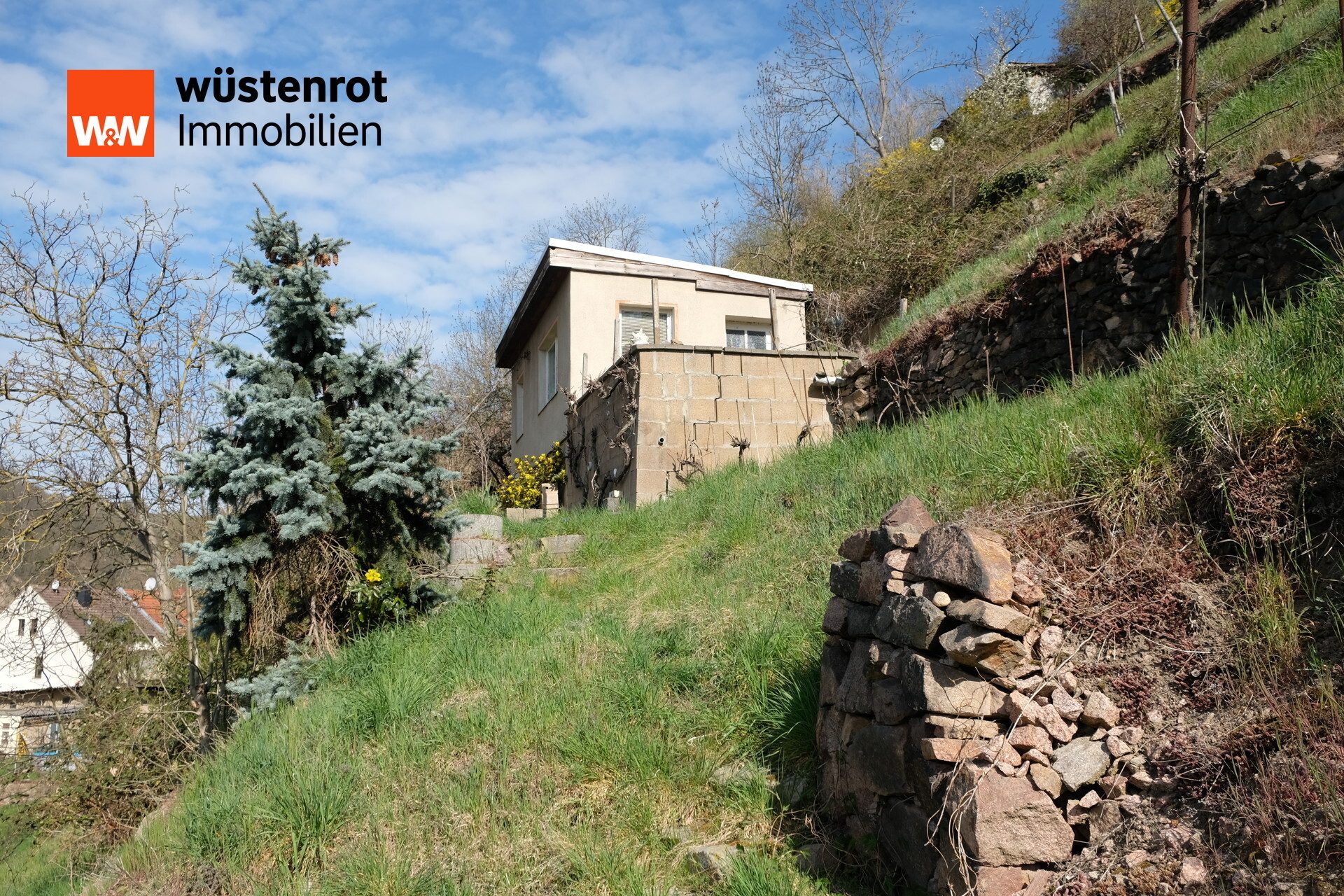 Immobilienangebot - Meißen - Alle - Traumhaftes Hanggrundstück in Meißen – Historischer Weinberg mit Potenzial