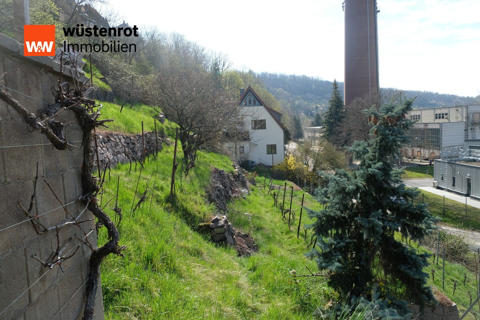 Immobilienangebot - Meißen - Alle - Traumhaftes Hanggrundstück in Meißen – Historischer Weinberg mit Potenzial