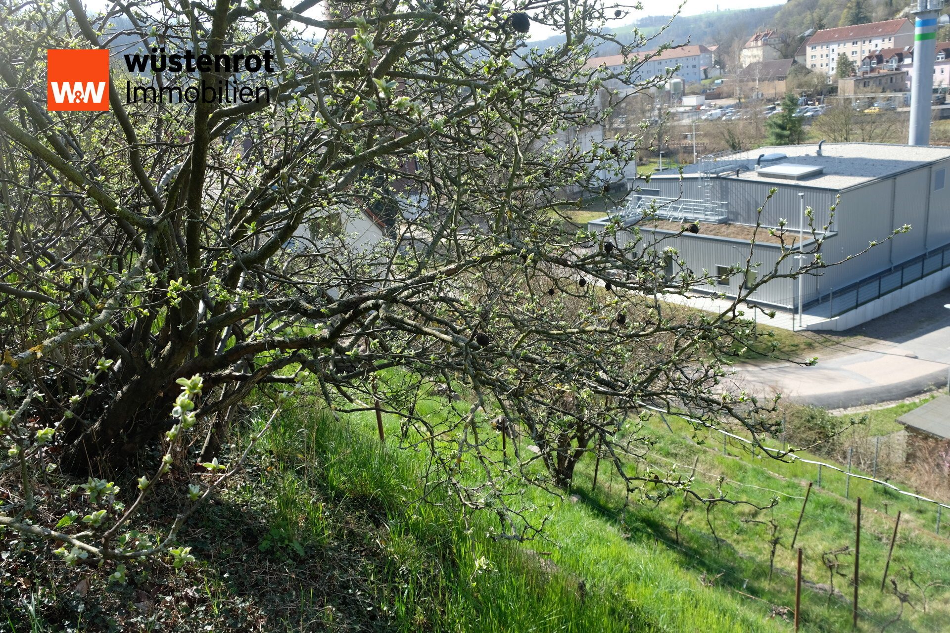 Immobilienangebot - Meißen - Alle - Traumhaftes Hanggrundstück in Meißen – Historischer Weinberg mit Potenzial