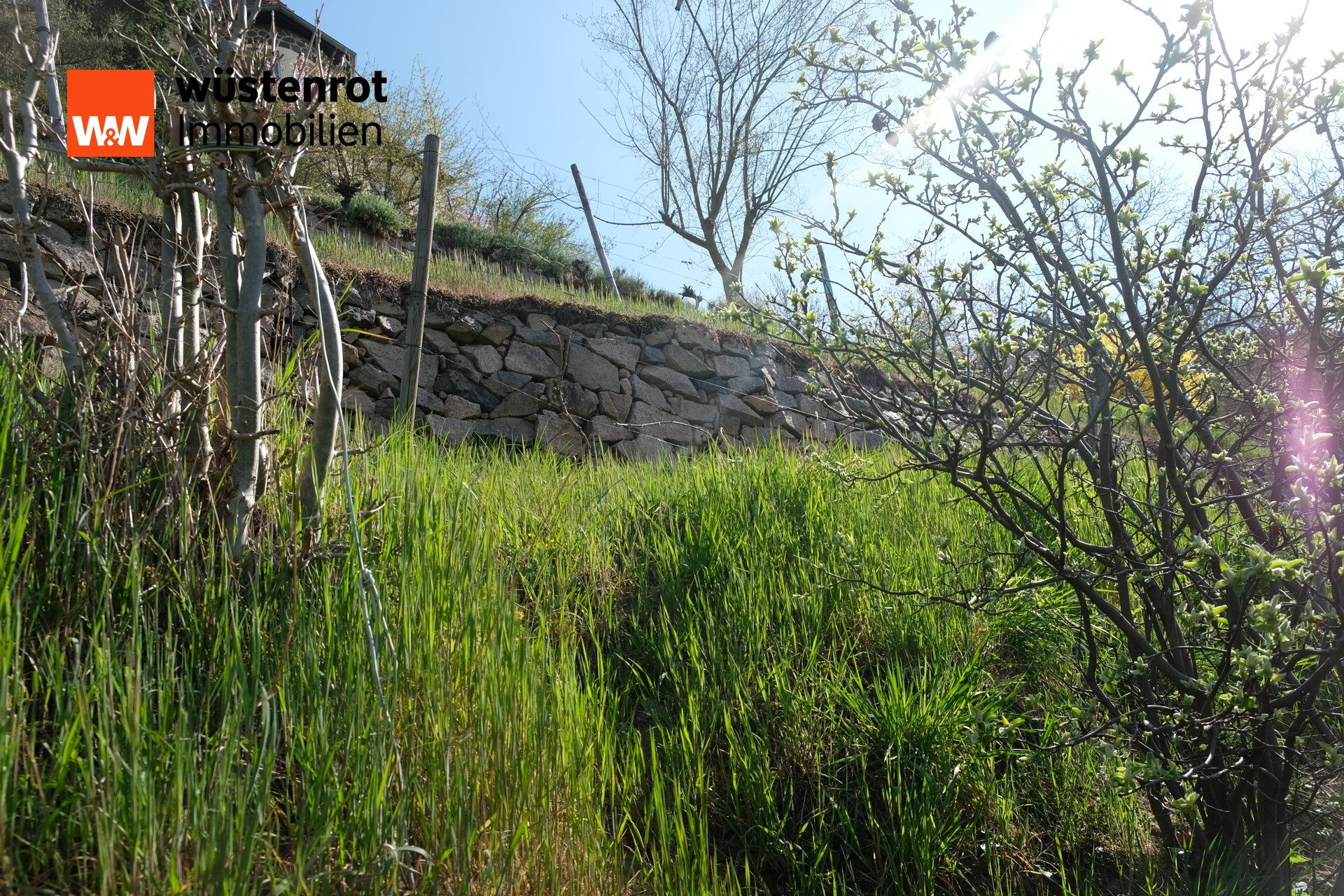 Immobilienangebot - Meißen - Alle - Traumhaftes Hanggrundstück in Meißen – Historischer Weinberg mit Potenzial