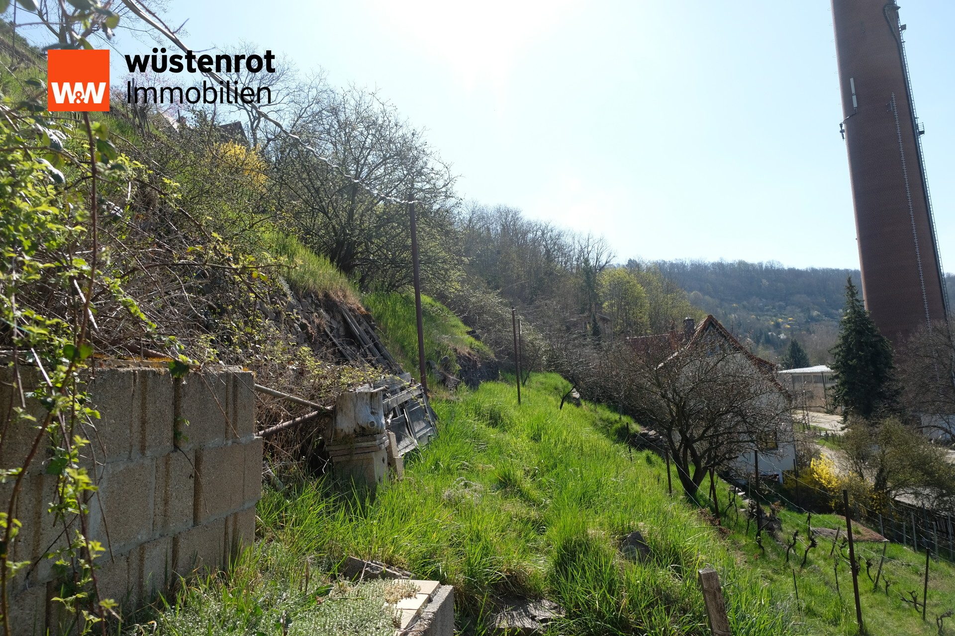 Immobilienangebot - Meißen - Alle - Traumhaftes Hanggrundstück in Meißen – Historischer Weinberg mit Potenzial