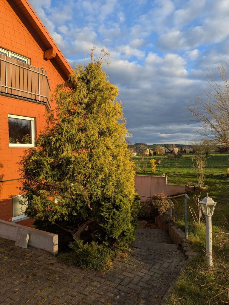 Immobilienangebot - Hainichen - Alle - Dachgeschoss Wohnung mit traumhafter Aussicht