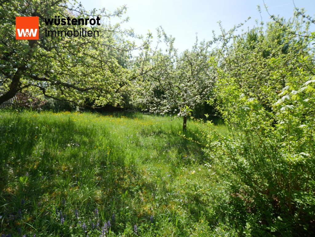 Immobilienangebot - Untersiemau - Alle - Wohnhaus mit Scheune