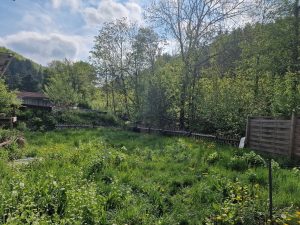 Immobilienangebot - Albstadt - Pfeffingen - Alle - Perfekt kombiniert! Gewerbe -und Wohnfläche unter einem Dach!