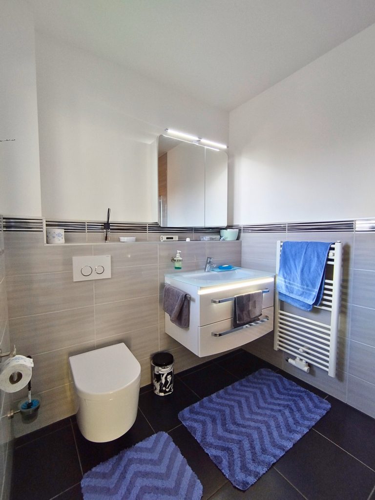 Immobilienangebot - Lage - Alle - modernes und hochwertiges Einfamilienhaus in Lage