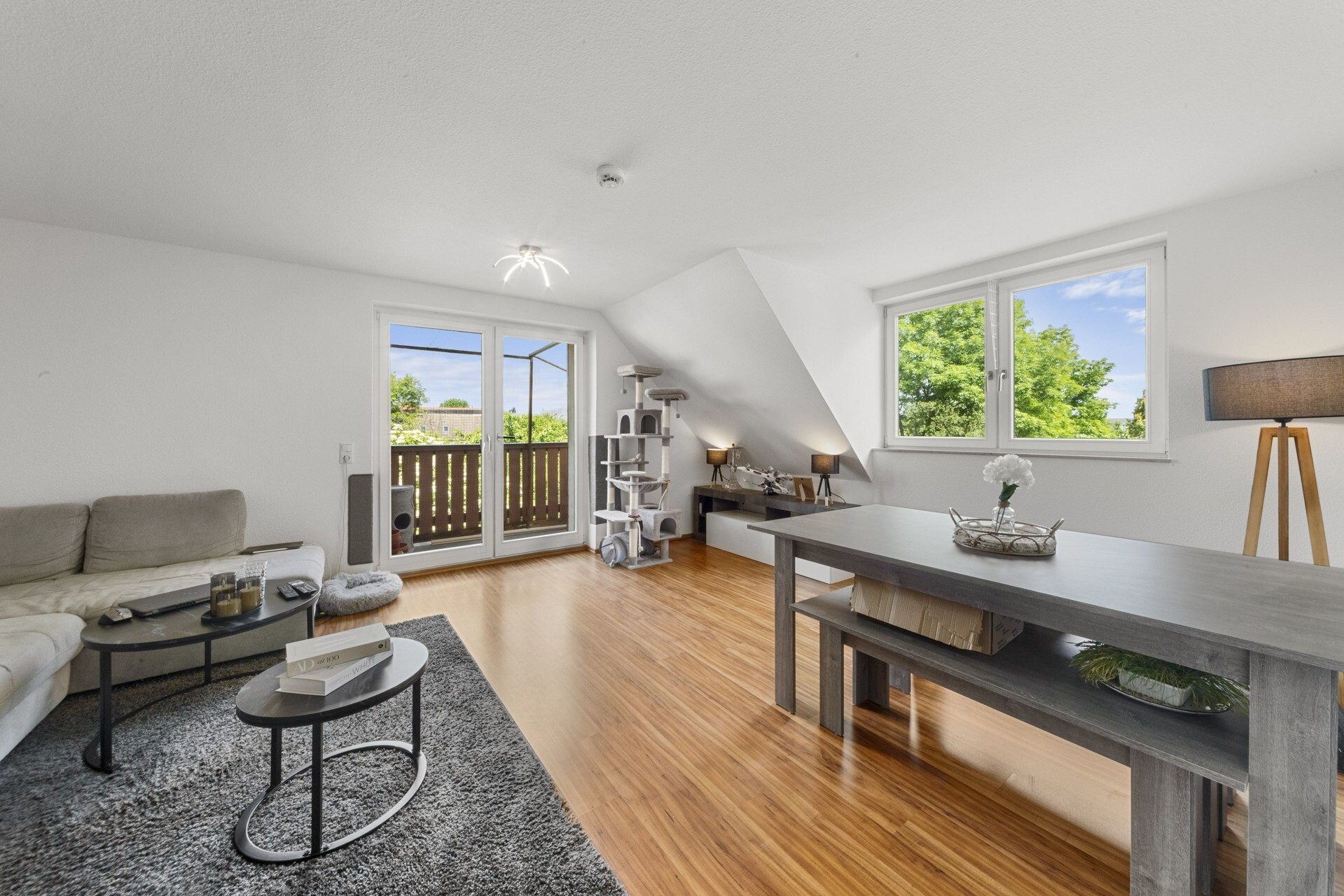 Immobilienangebot - Dresden - Alle - Interessantes Investment und KEINE zzgl. Käufercourtage!!!