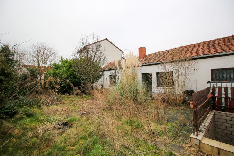 Immobilienangebot - Zwingenberg - Alle - Wohnhaus mit Nebengebäuden auf großem Grundstück  *** PROVISIONSFREI für den Käufer ***