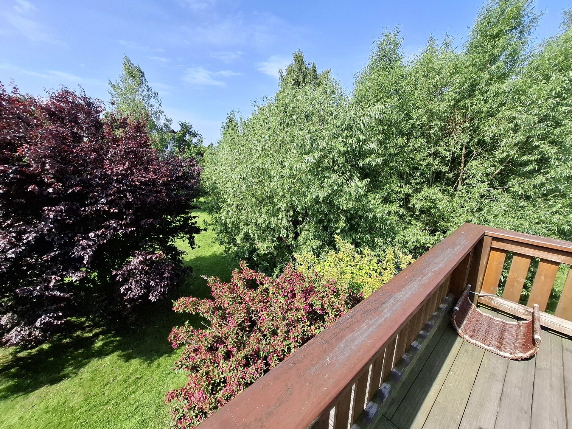 Immobilienangebot - Göda - Alle - Exklusives Einfamilienhaus mit gehobener Ausstattung am Rande von Bautzen
