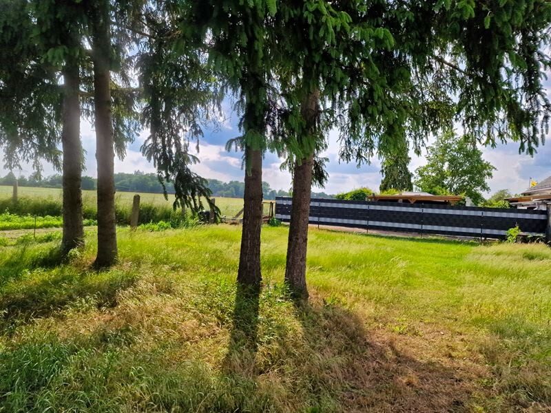 Immobilienangebot - Mahlpfuhl - Alle - Handwerkerobjekt mit schönem Grundstück in Mahlpfuhl bei Tangerhütte