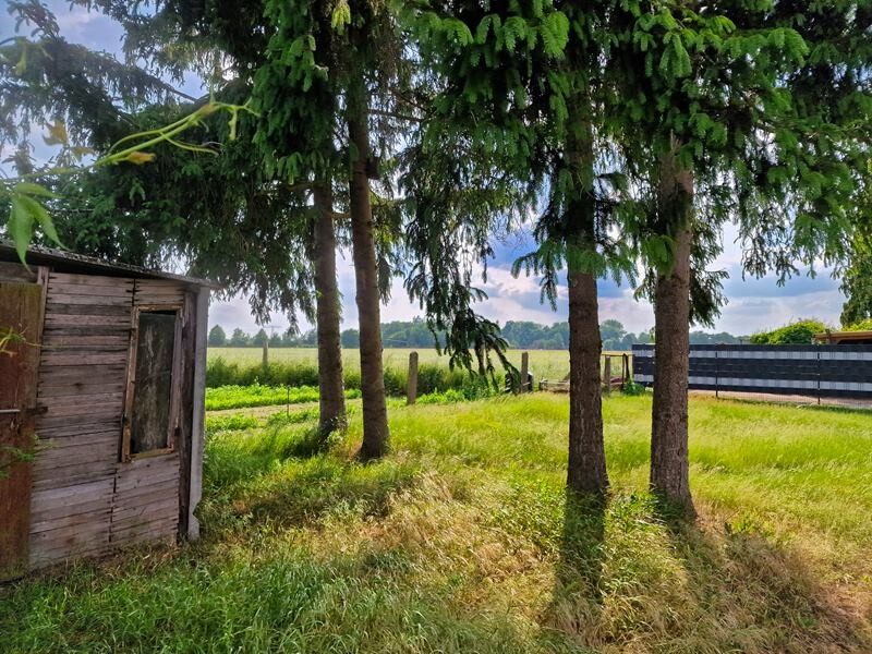 Immobilienangebot - Mahlpfuhl - Alle - Handwerkerobjekt mit schönem Grundstück in Mahlpfuhl bei Tangerhütte