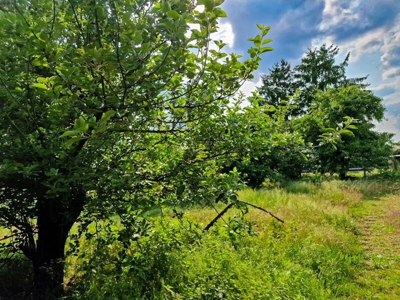 Immobilienangebot - Mahlpfuhl - Alle - Handwerkerobjekt mit schönem Grundstück in Mahlpfuhl bei Tangerhütte