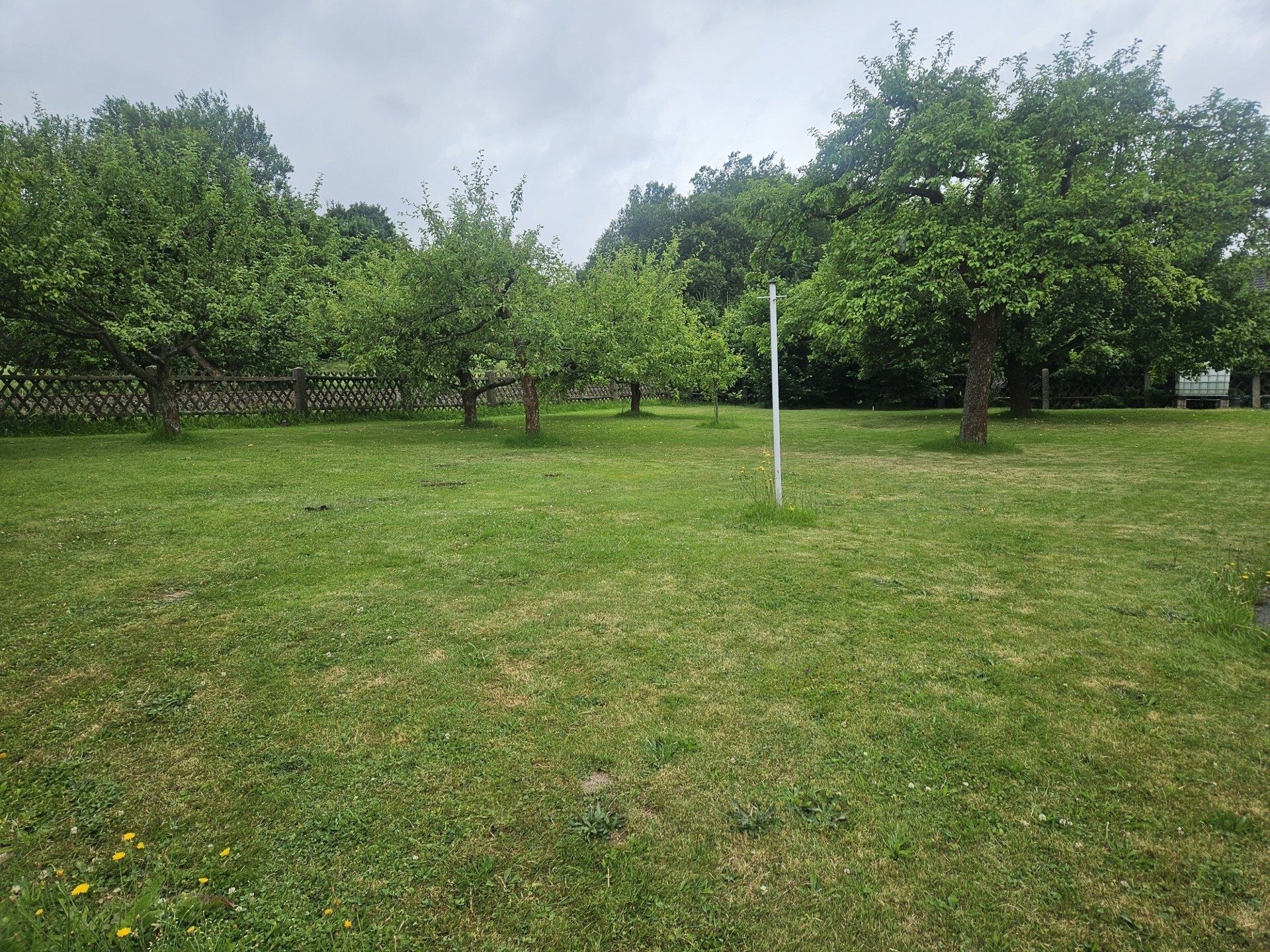 Immobilienangebot - Friedersdorf - Alle - Gemütliche Doppelhaushälfte in Friedersdorf