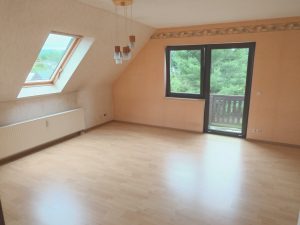 Immobilienangebot - Scheibenberg / Oberscheibe - Alle - Einfamilien haus mit Einliegerwohnung in Scheibenberg mit großem Grundstück in naturnaher Wohnlage.