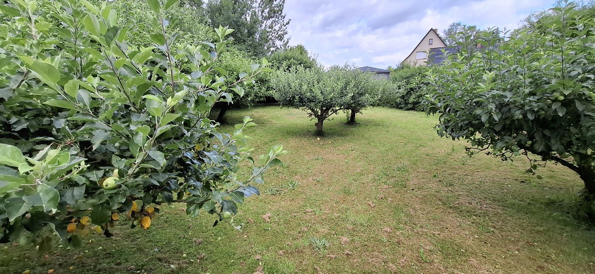 Immobilienangebot - Waldhufen / Nieder Seifersdorf - Alle - Hochwertiges Wohnhaus mit Praxis in Nieder Seifersdorf