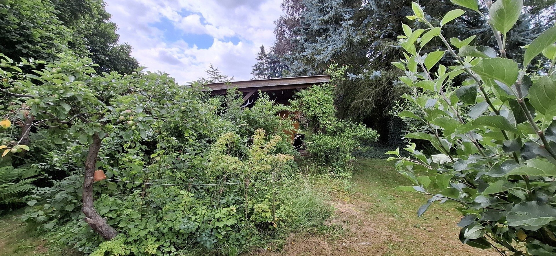 Immobilienangebot - Waldhufen / Nieder Seifersdorf - Alle - Hochwertiges Wohnhaus mit Praxis in Nieder Seifersdorf