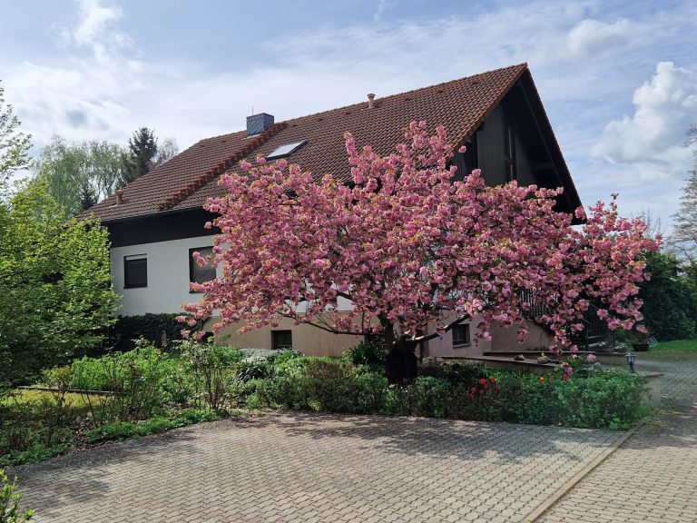 Immobilienangebot - Waldhufen / Nieder Seifersdorf - Alle - Hochwertiges Wohnhaus mit Praxis in Nieder Seifersdorf