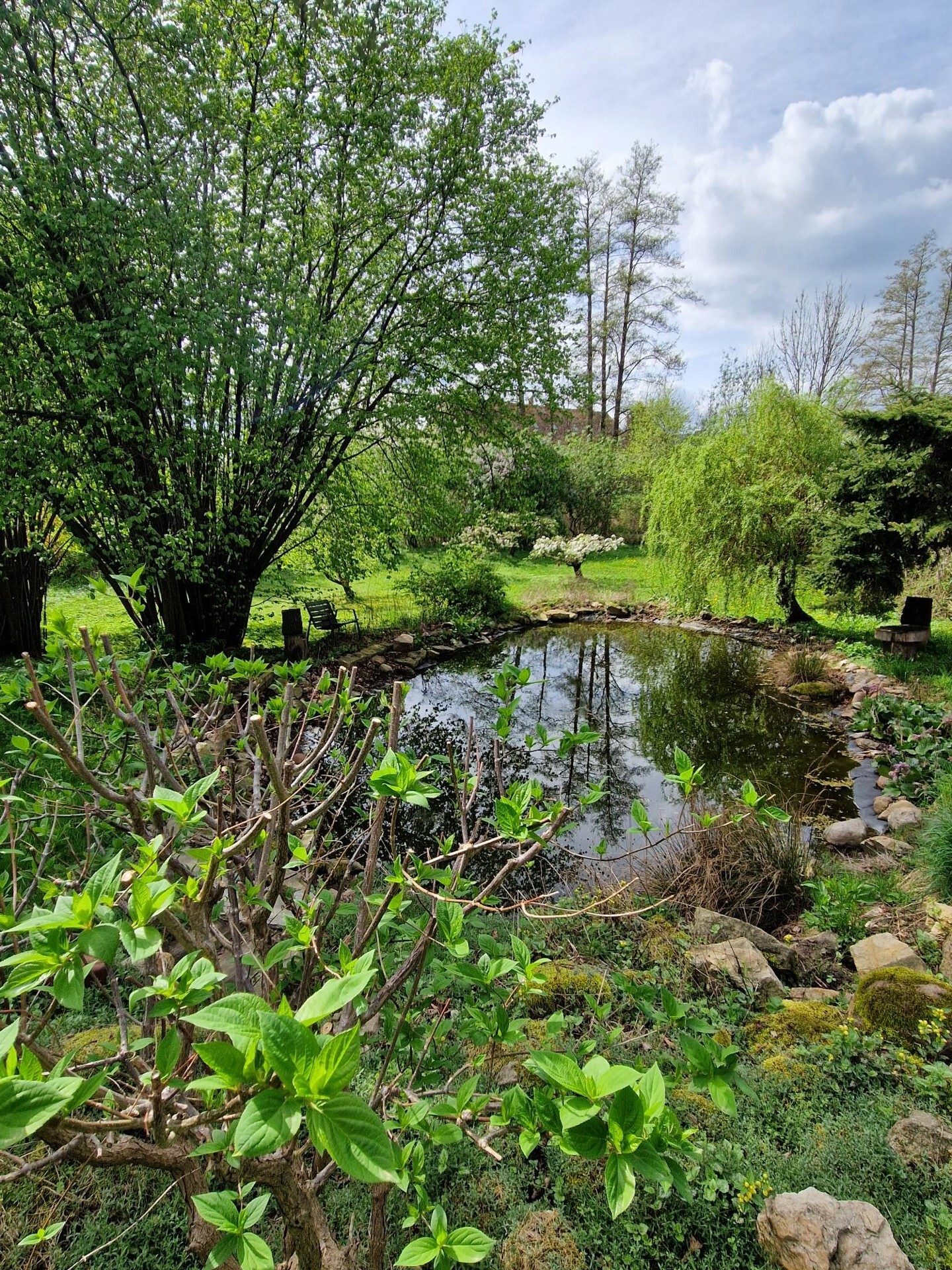 Immobilienangebot - Waldhufen / Nieder Seifersdorf - Alle - Hochwertiges Wohnhaus mit Praxis in Nieder Seifersdorf