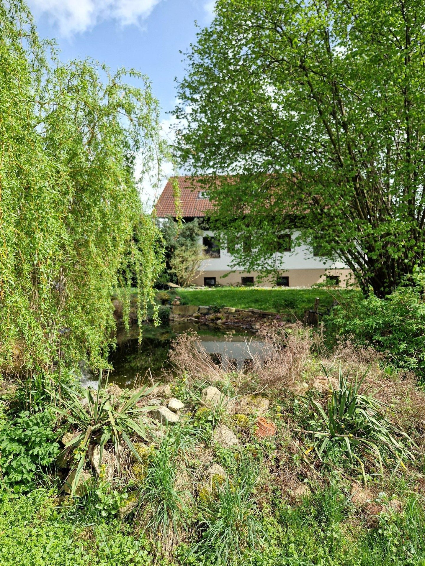 Immobilienangebot - Waldhufen / Nieder Seifersdorf - Alle - Hochwertiges Wohnhaus mit Praxis in Nieder Seifersdorf