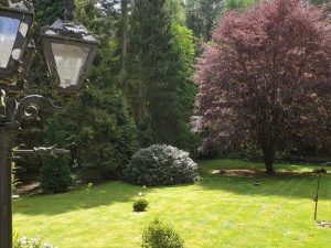 Immobilienangebot - Hermeskeil / Abtei - Alle - Ein Rückzugsort inmitten der Natur – Außergewöhnliches Wochenendhaus für Jäger oder Individualisten