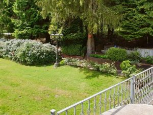 Immobilienangebot - Hermeskeil / Abtei - Alle - Ein Rückzugsort inmitten der Natur – Außergewöhnliches Wochenendhaus für Jäger oder Individualisten