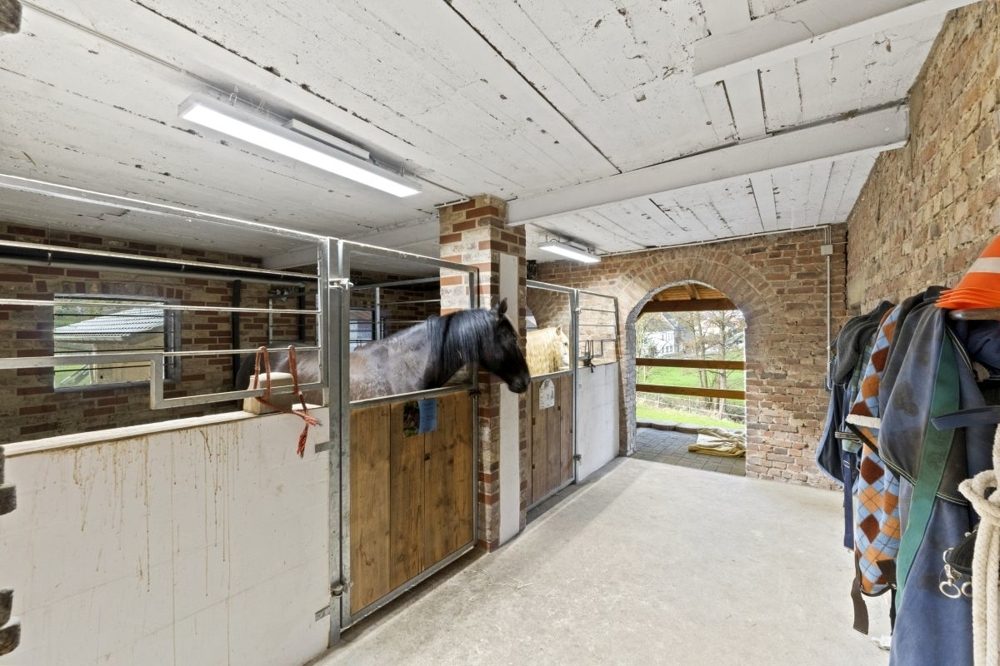 Immobilienangebot - Königswinter - Alle - Nachhaltiges Anwesen mit top Energiewerten, Reitanlage und Platz für mehrere Generationen!