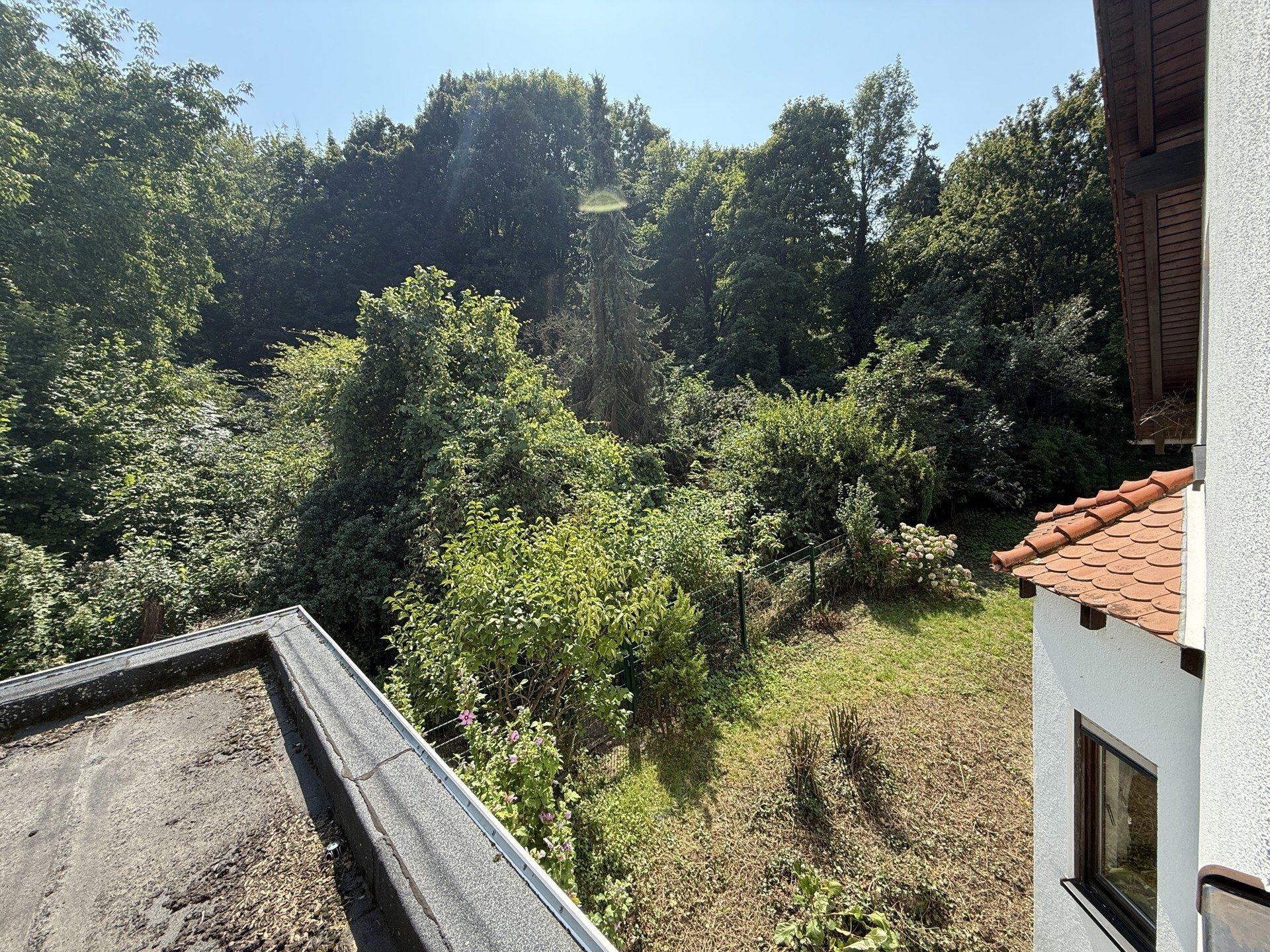 Immobilienangebot - Weinheim - Alle - Naturnah und zentral, Doppelhaushälfte mit kleiner Einliegerwohnung in beliebter Lage von Weinheim