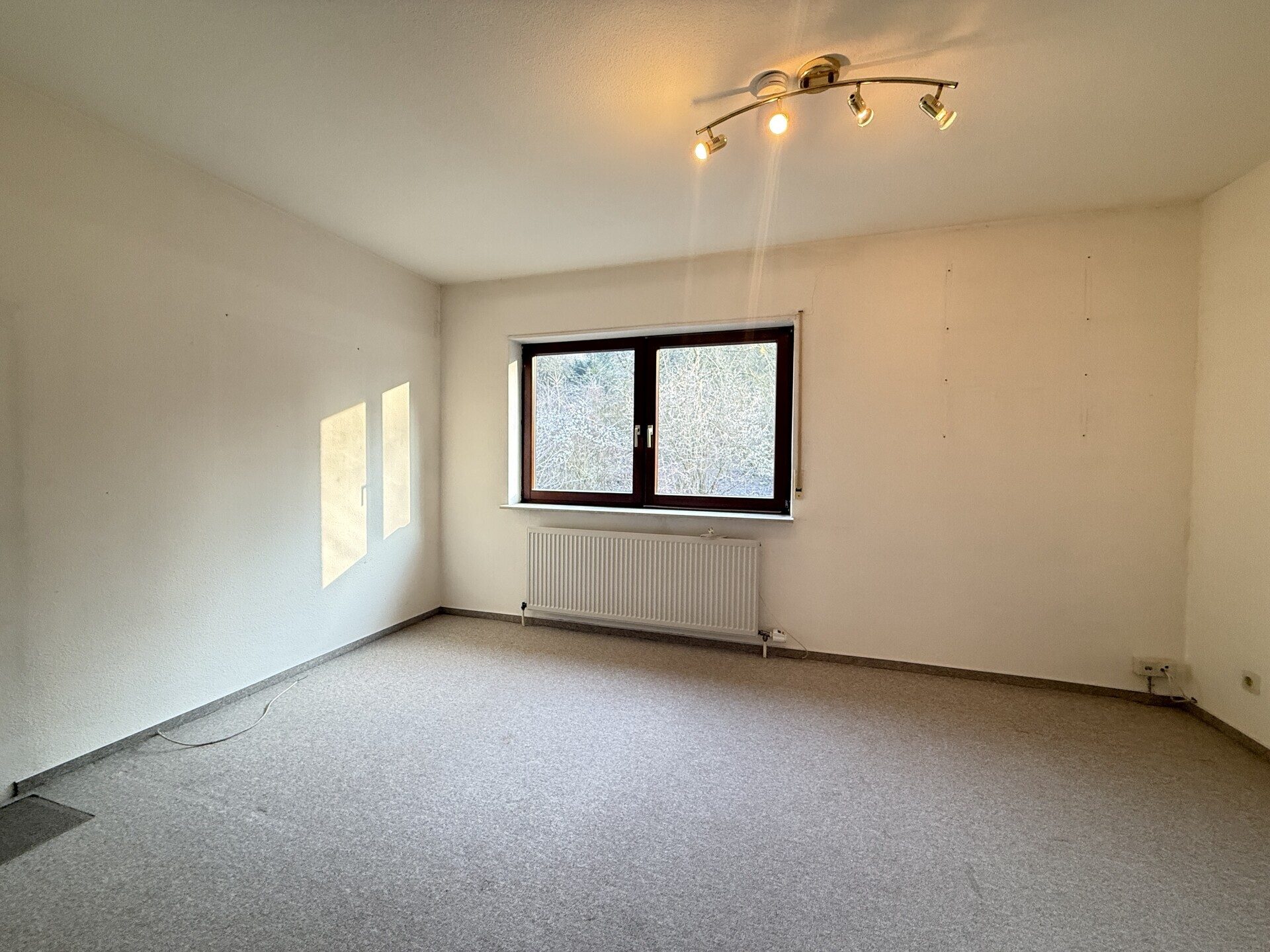 Immobilienangebot - Weinheim - Alle - Naturnah und zentral, Doppelhaushälfte mit kleiner Einliegerwohnung in beliebter Lage von Weinheim