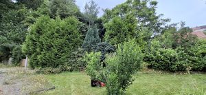 Immobilienangebot - Bernstadt auf dem Eigen / Kemnitz - Alle - Beliebtes Einfamilienhaus Typ EW 65 zwischen Görlitz und Löbau