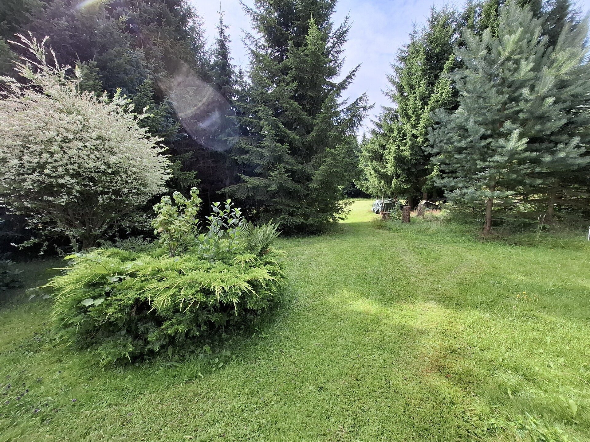 Immobilienangebot - Neusalza-Spremberg - Alle - Feines Haus mit Wald in idyllischer Lage