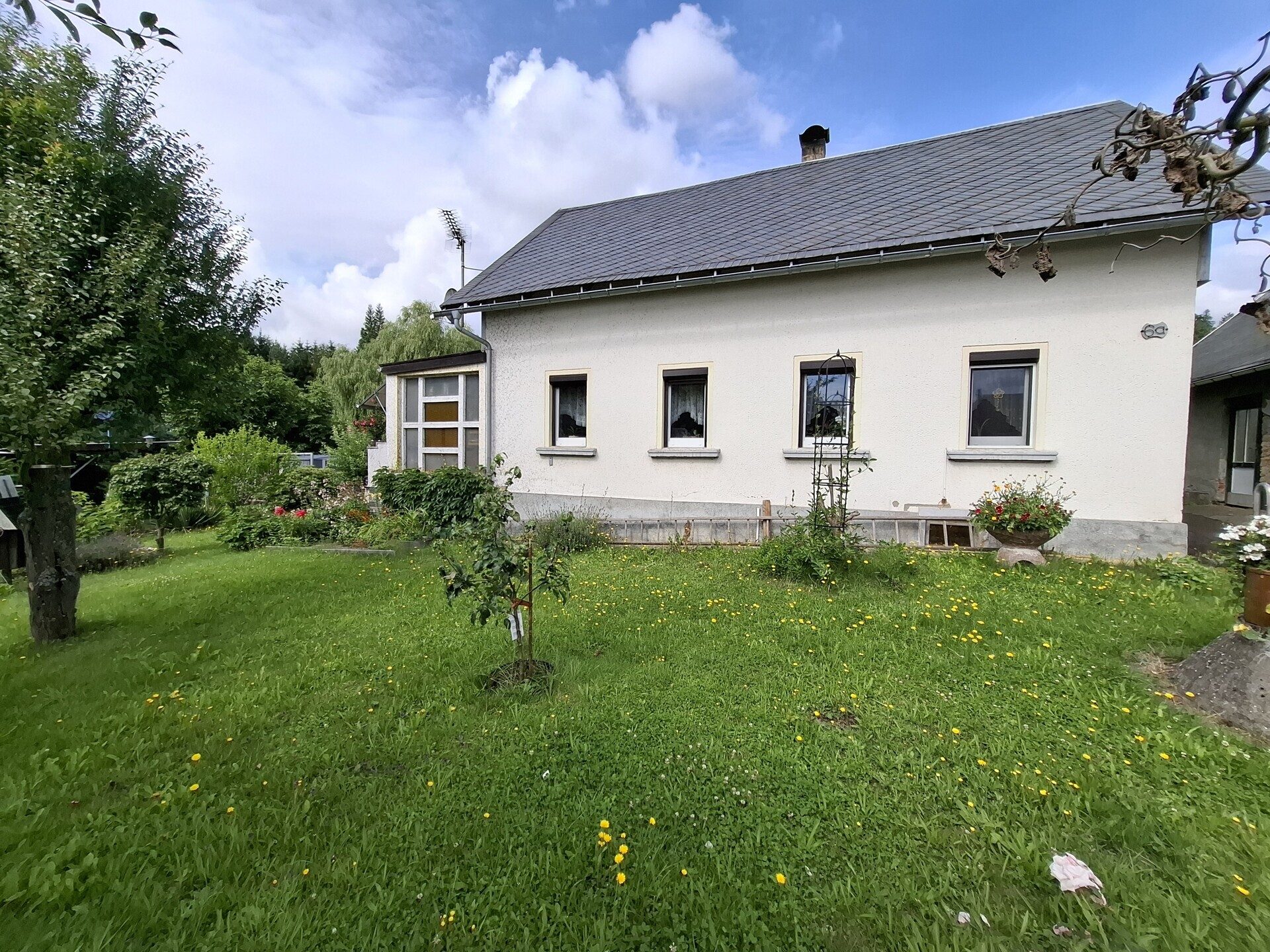 Immobilienangebot - Neusalza-Spremberg - Alle - Feines Haus mit Wald in idyllischer Lage