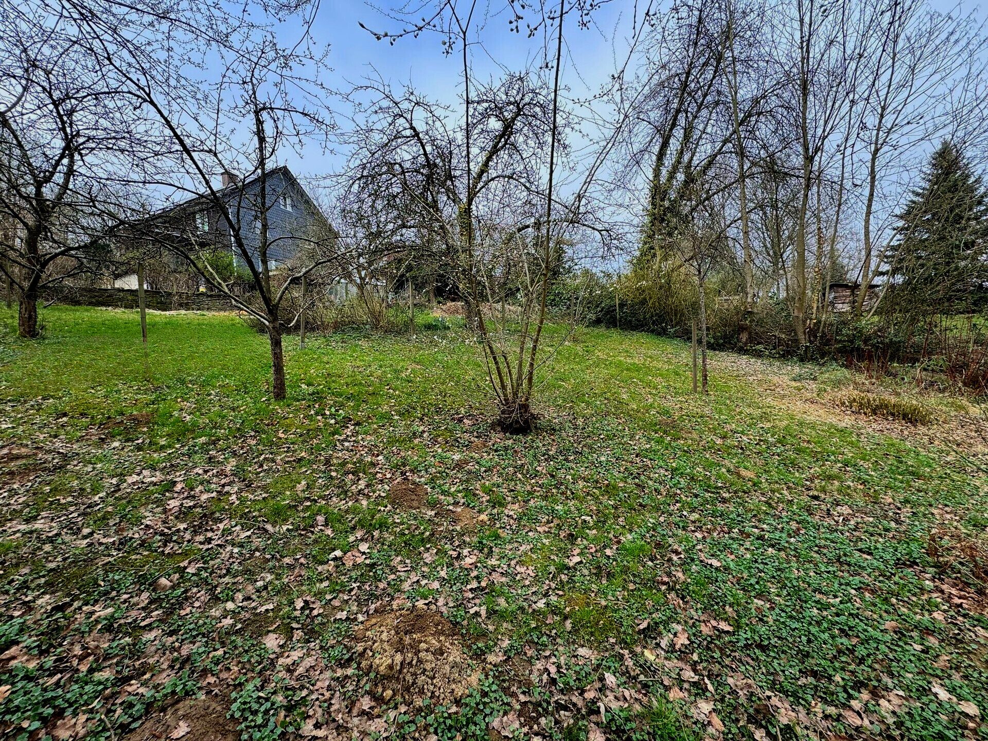 Immobilienangebot - Velbert - Alle - Traumgrundstück um Ihren Wohntraum zu verwirklichen!