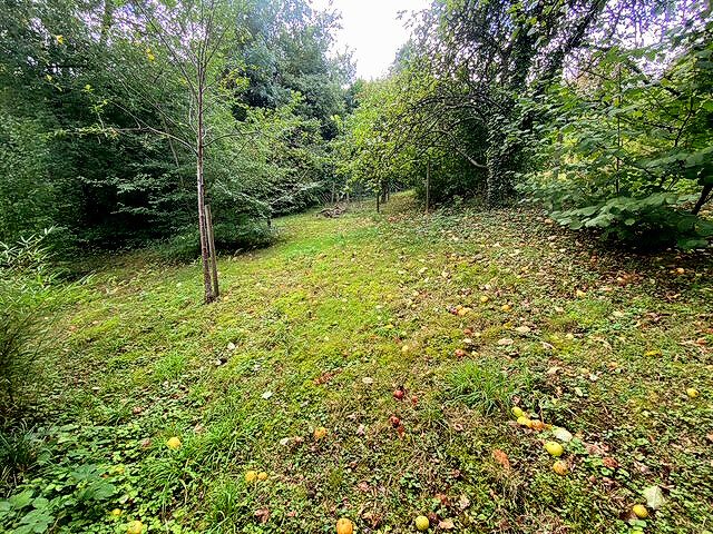 Immobilienangebot - Velbert - Alle - Traumgrundstück um Ihren Wohntraum zu verwirklichen!