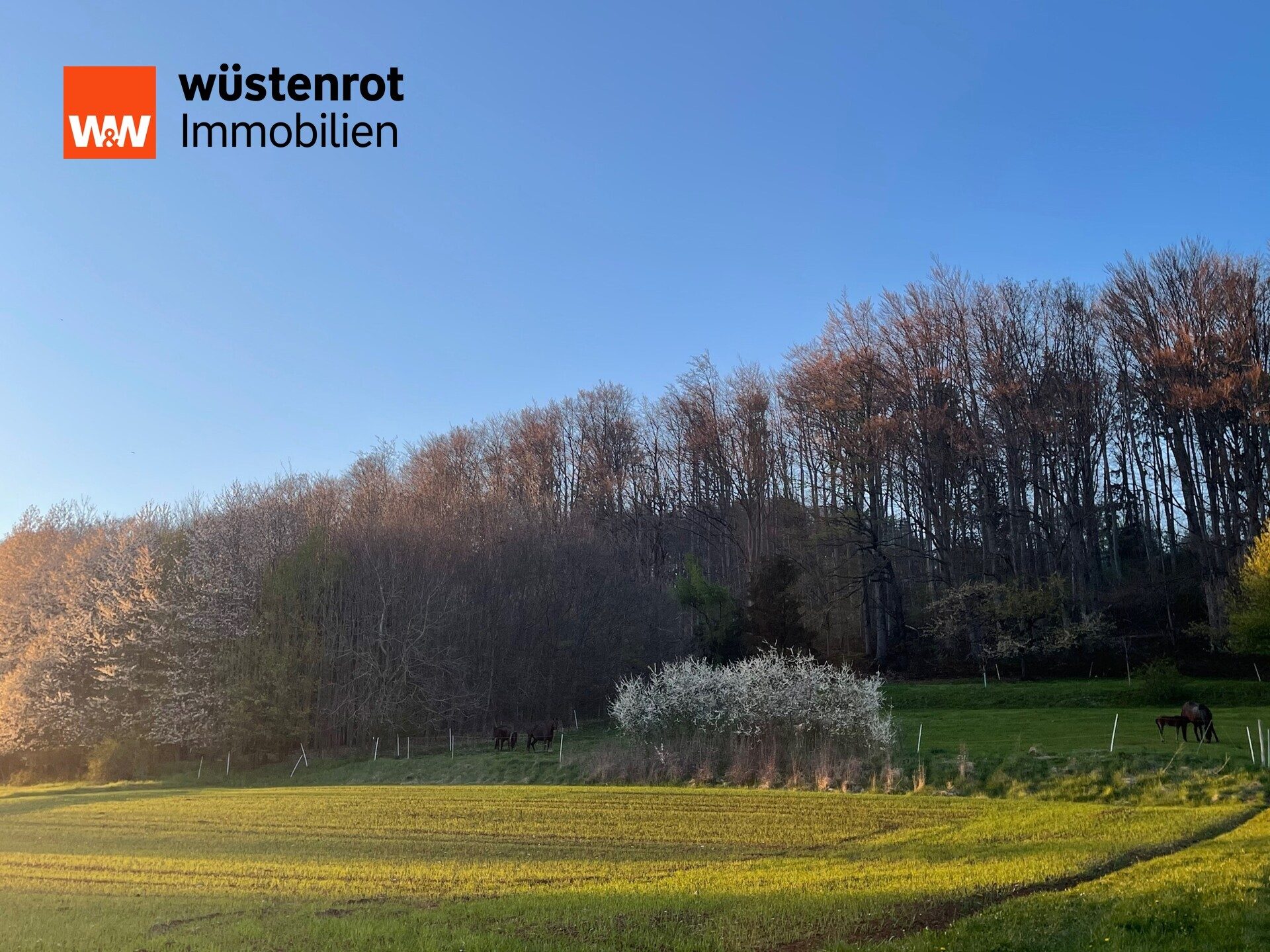 Immobilienangebot - Offenhausen / Breitenbrunn - Alle - Geschmackvolles und edles Domizil 
in ländlicher Idylle