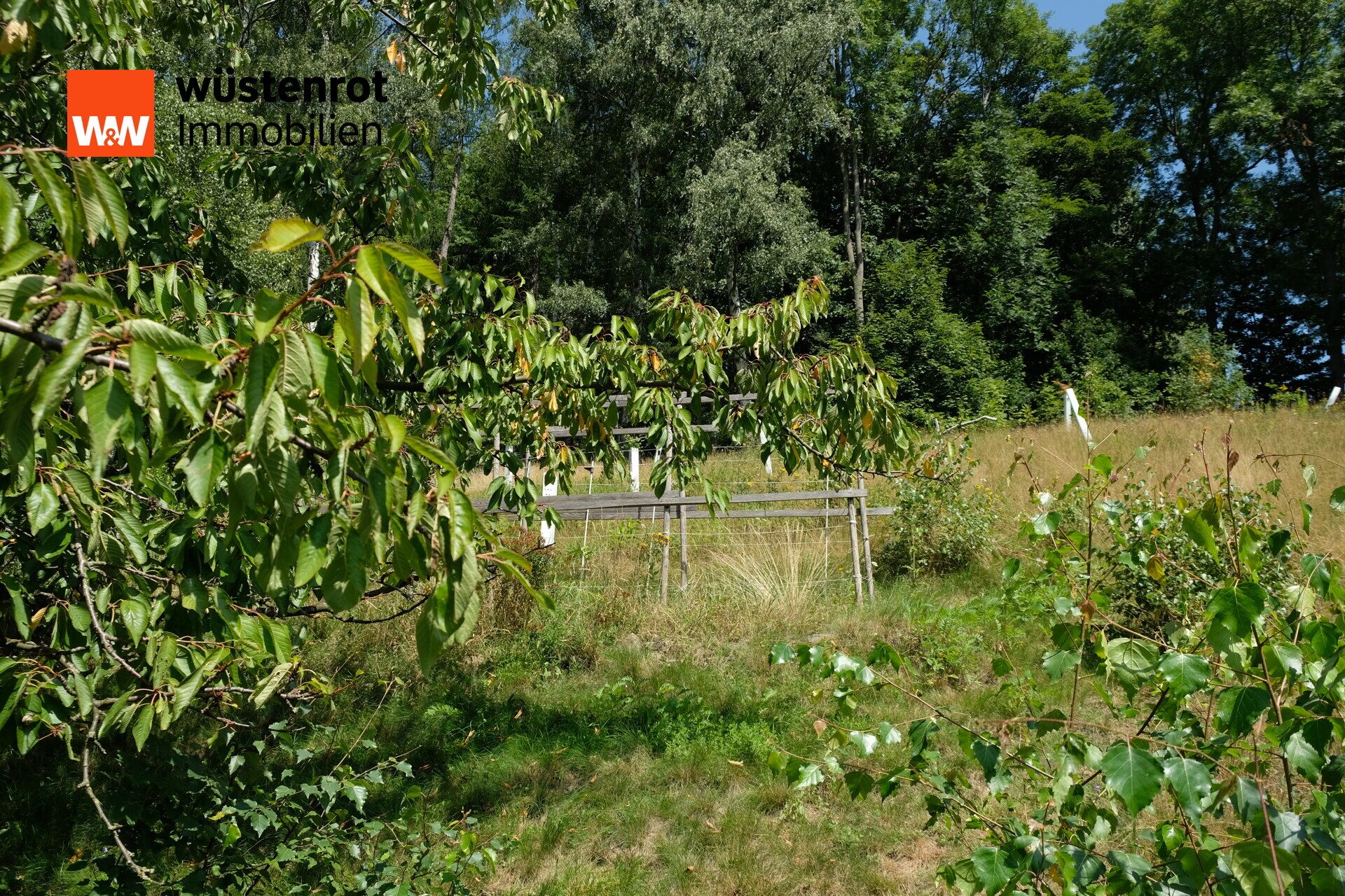 Immobilienangebot - Altenberg / Bärenstein - Alle - Wunderschönes Einfamilienhaus mit Einliegerwohnung, Schlossblick & großem Grundstück