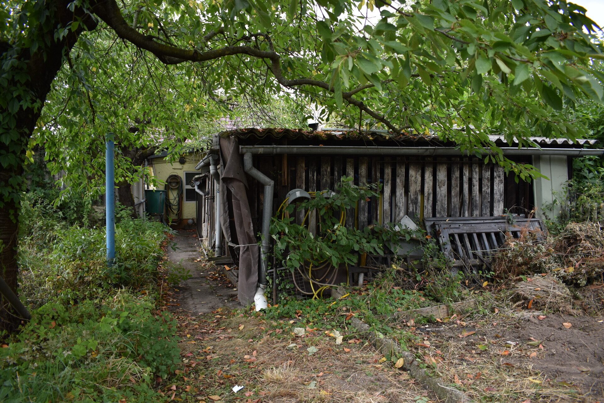 Immobilienangebot - Pulsen - Alle - Doppelhaushälfte in ruhiger Lage zum Verkauf