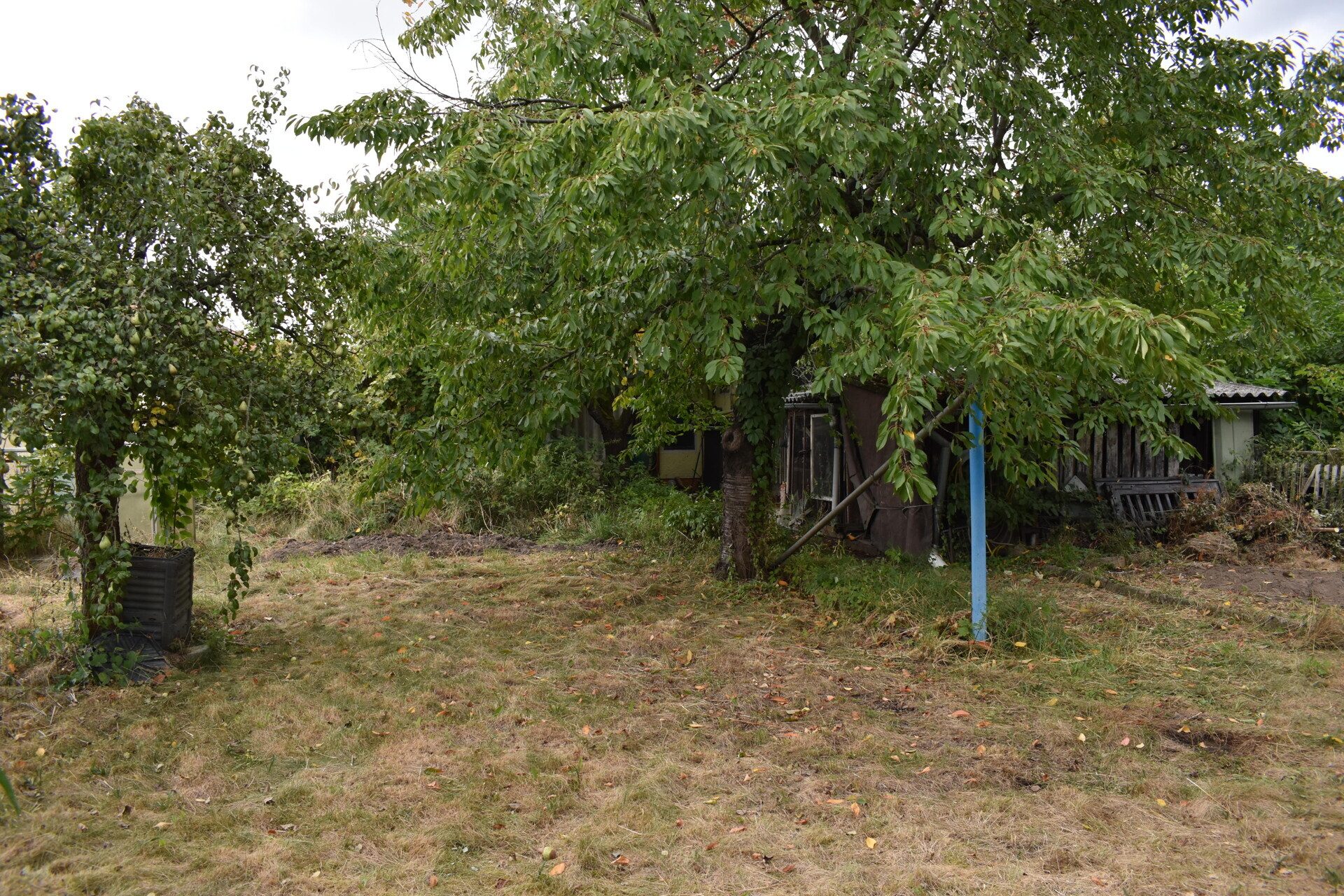 Immobilienangebot - Pulsen - Alle - Doppelhaushälfte in ruhiger Lage zum Verkauf