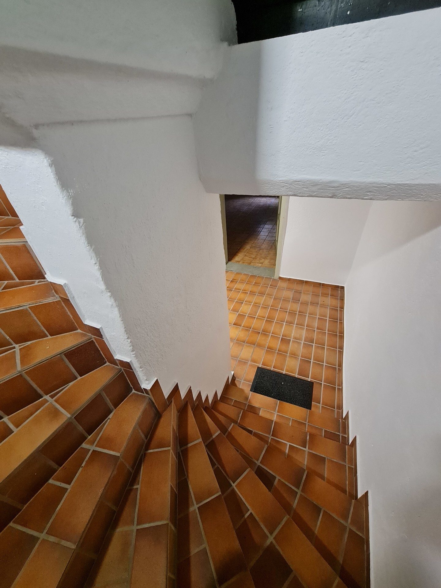 Immobilienangebot - Salzweg / Straßkirchen - Alle - Tolles Wohnhaus mit Traumgarten vor den Toren Passaus. Familienglück oder Kapitalanlage oder beides?
