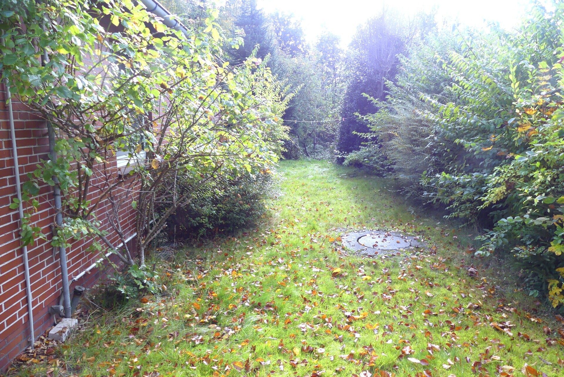 Immobilienangebot - Wingst - Alle - EFH mit vermieteter Einliegerwohnung in Wingst