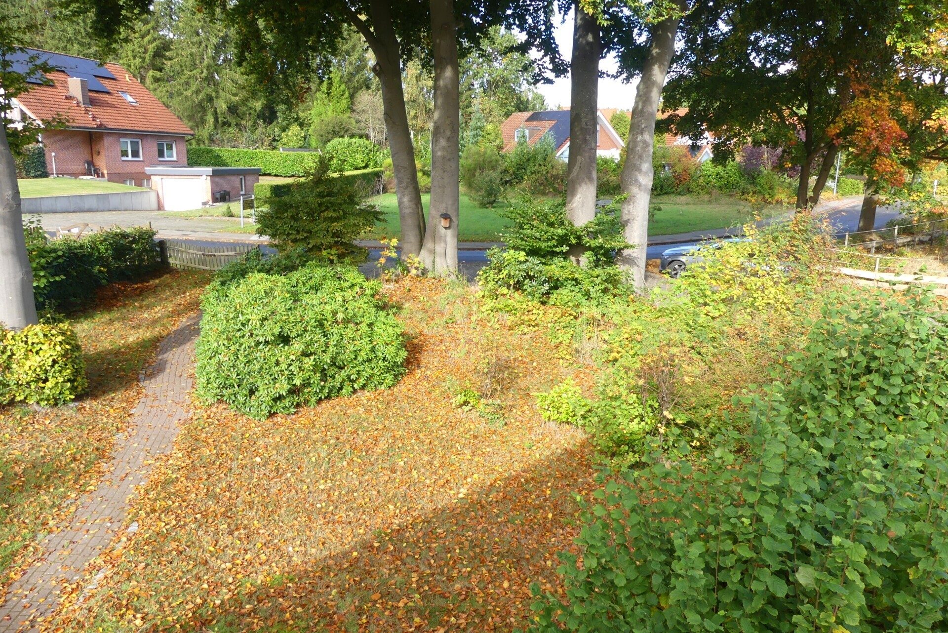 Immobilienangebot - Wingst - Alle - EFH mit vermieteter Einliegerwohnung in Wingst