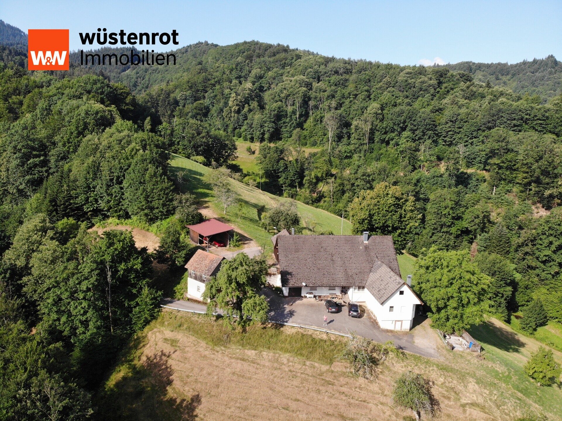 Immobilienangebot - Oppenau - Alle - Bauernhof in traumhafter Landschaft !