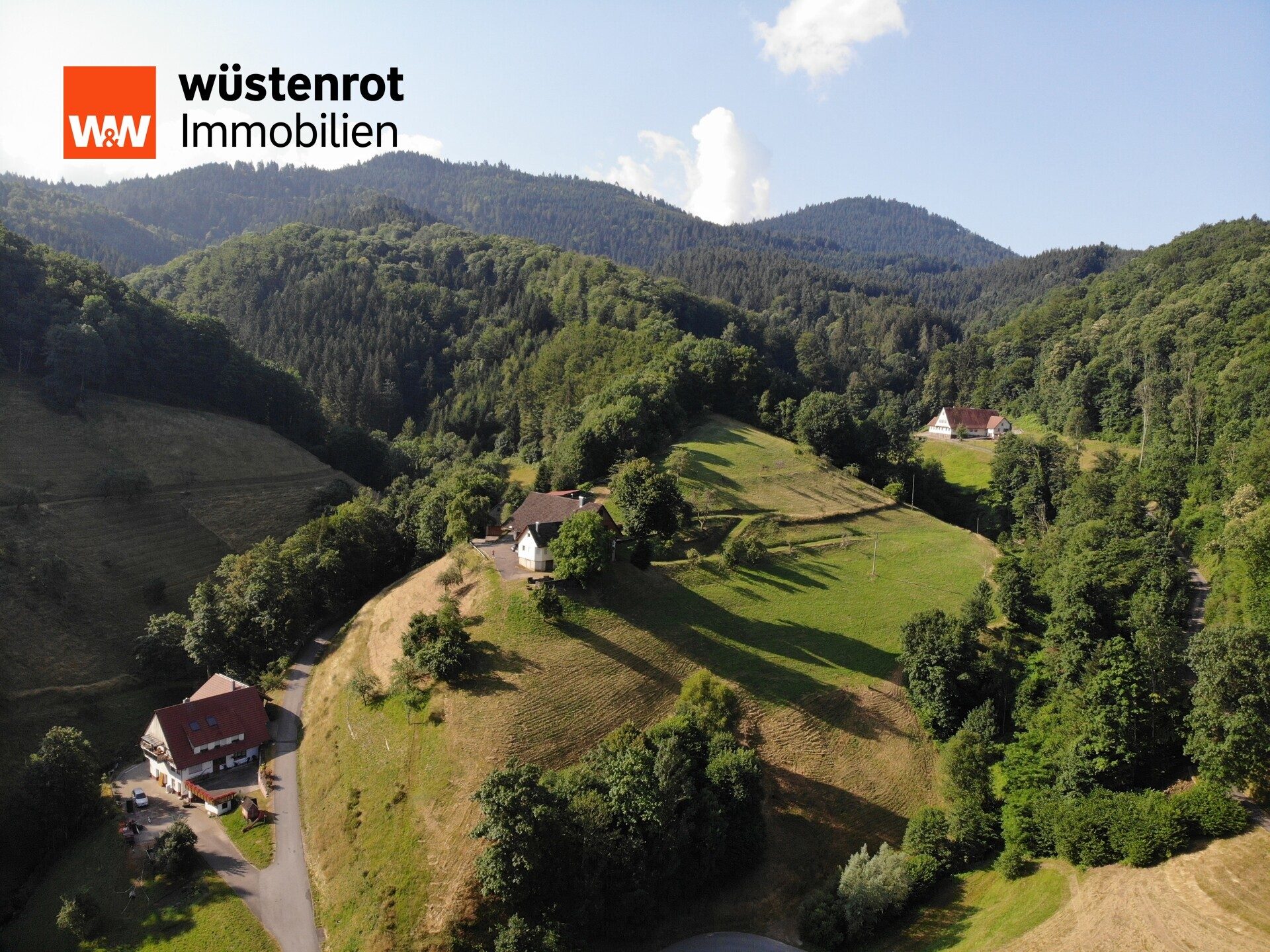 Immobilienangebot - Oppenau - Alle - Bauernhof in traumhafter Landschaft !