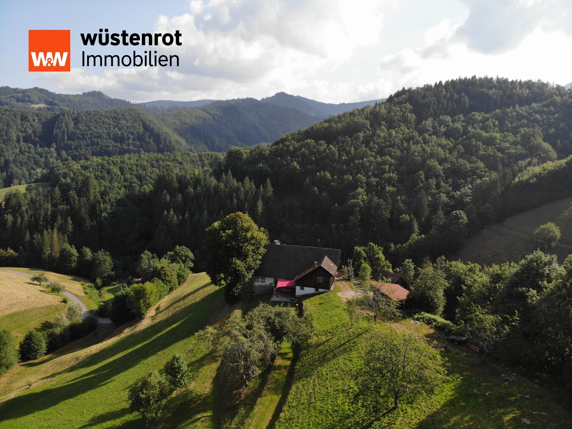 Immobilienangebot - Oppenau - Alle - Bauernhof in traumhafter Landschaft !