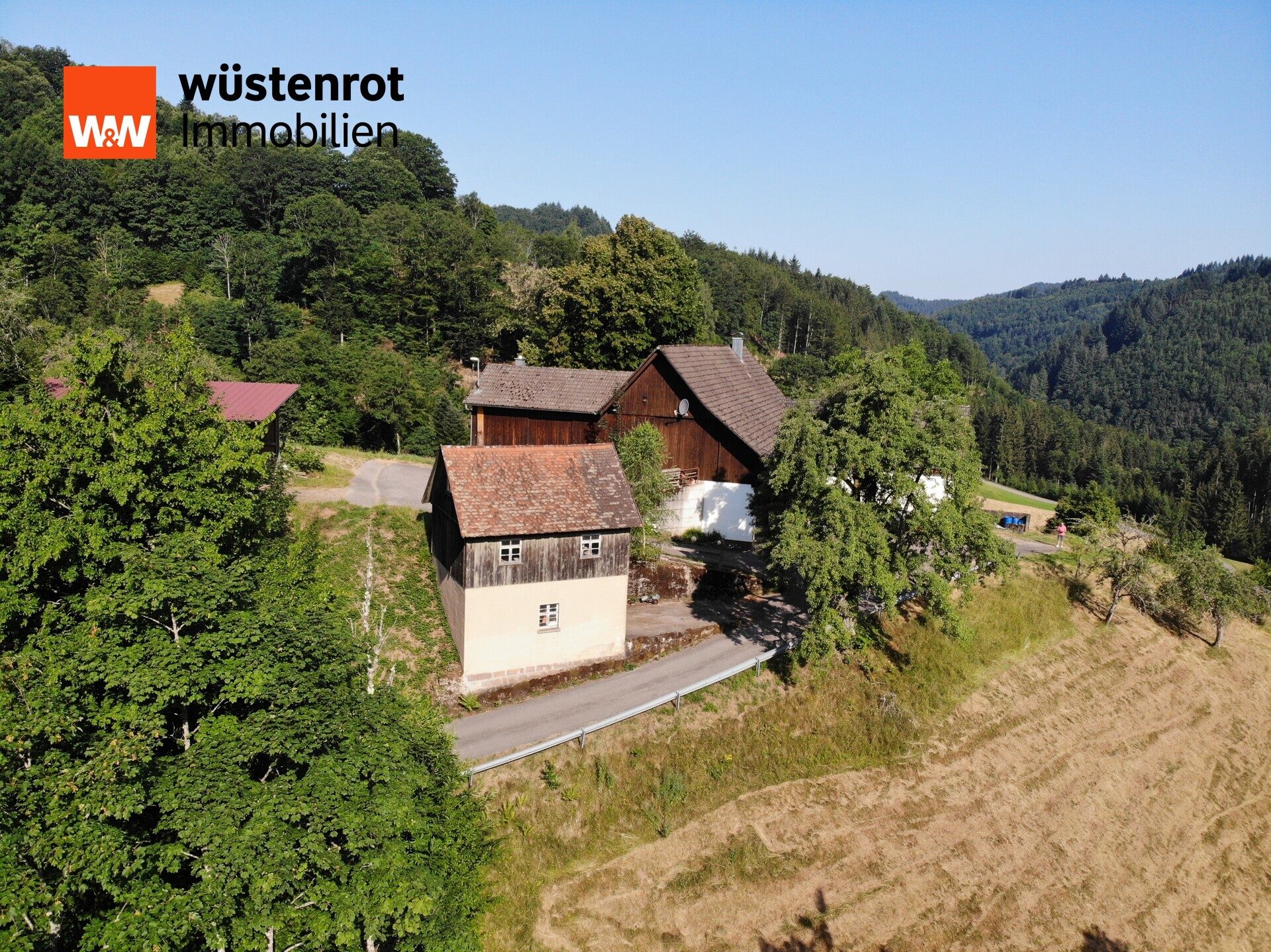 Immobilienangebot - Oppenau - Alle - Bauernhof in traumhafter Landschaft !