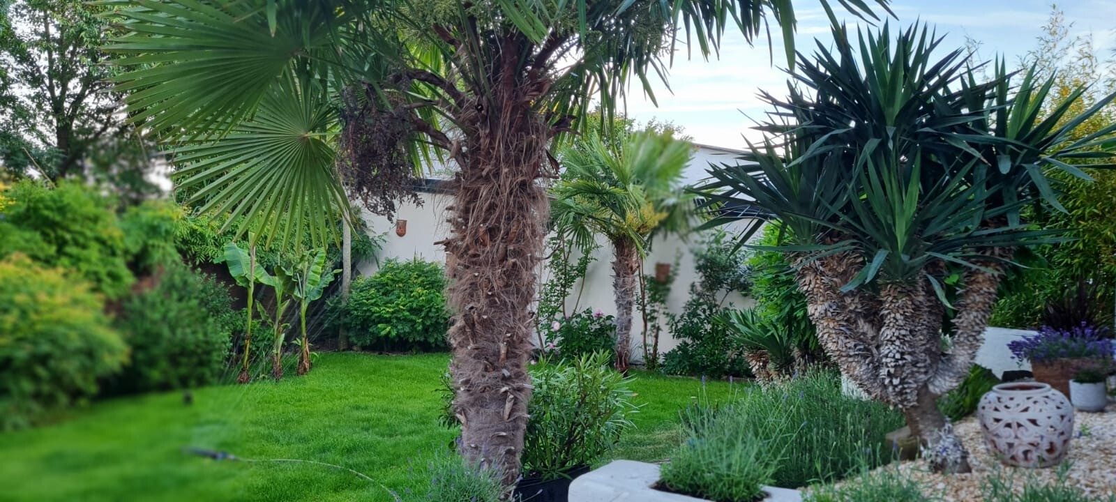 Immobilienangebot - Speyer - Alle - Wohntraum mit Garten und Garage in Speyer