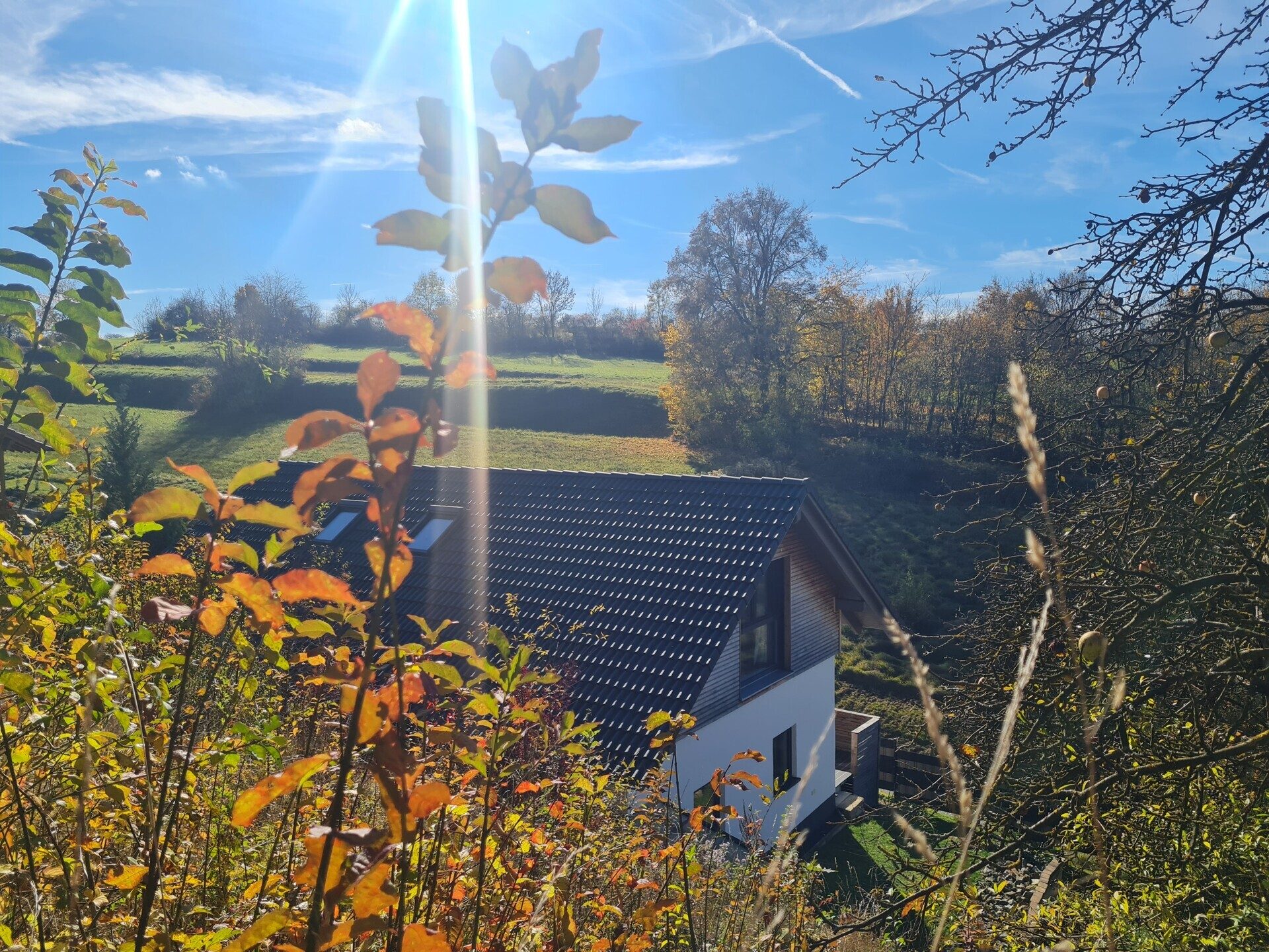 Immobilienangebot - Vilshofen / Pleinting - Alle - Bezahlbarer Wohn(t)raum in ruhiger, sonniger Lage! Auch für Kapitalanleger oder als Ferienimmobilie!