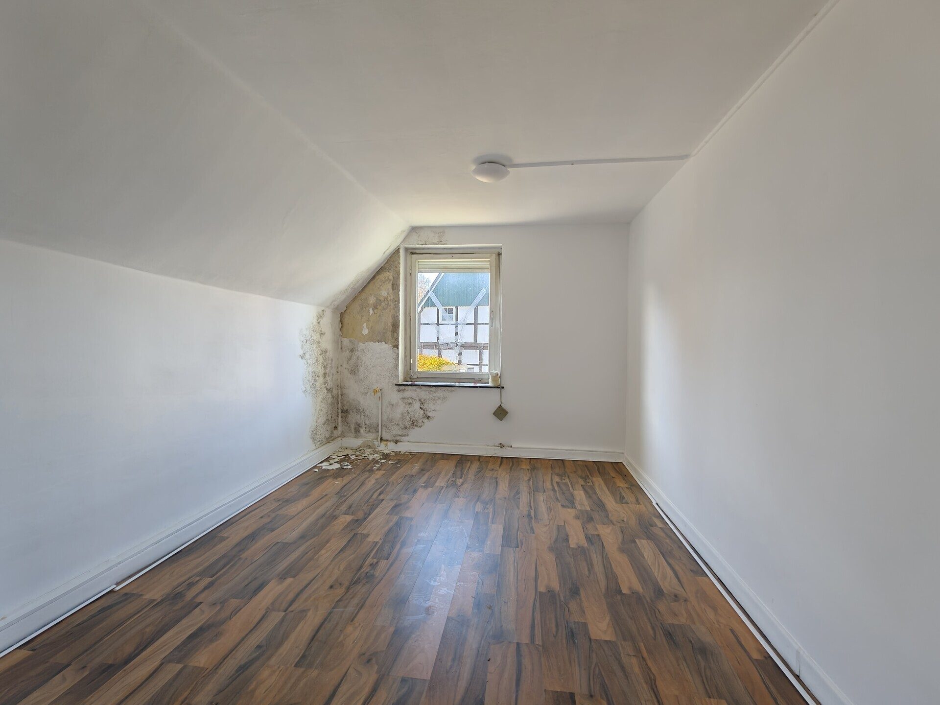 Immobilienangebot - Kalletal / Langenholzhausen - Alle - Sanieren, einziehen, wohlfühlen! Ein- bis Zweifamilienhaus in Kalletal- Langenholzhausen