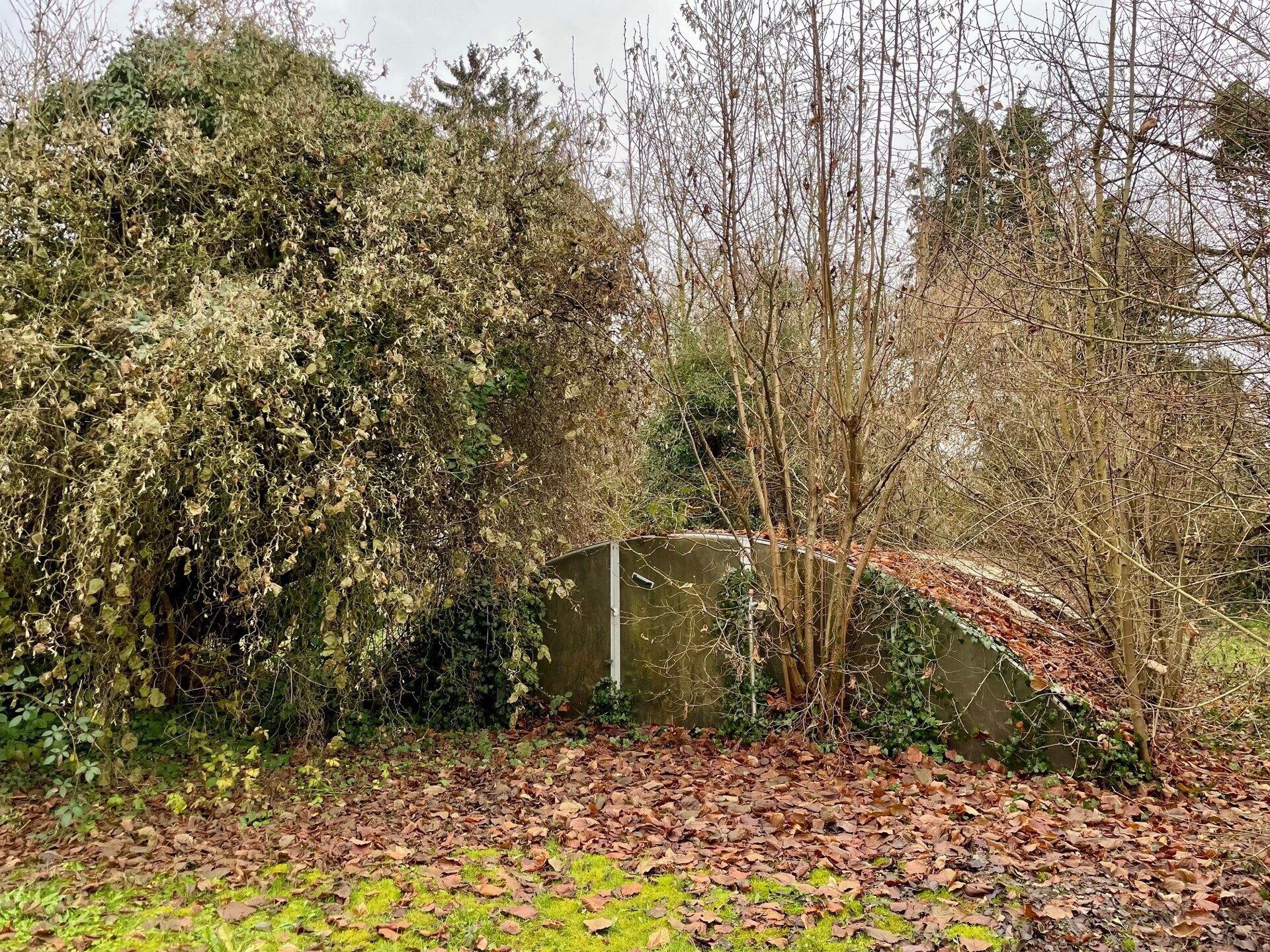 Immobilienangebot - Niddatal / Assenheim - Alle - RESERVIERT! Einfamilienhaus mit großem Gartenparadies – Sanierungsprojekt in bester Lage von Niddatal-Assenheim